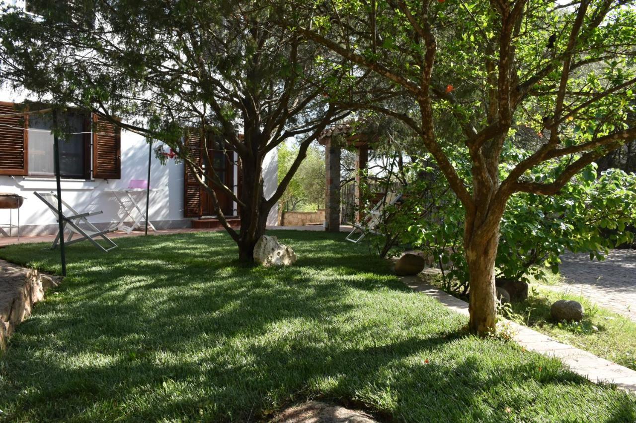 Villa Juniper Santa Maria Navarrese Extérieur photo