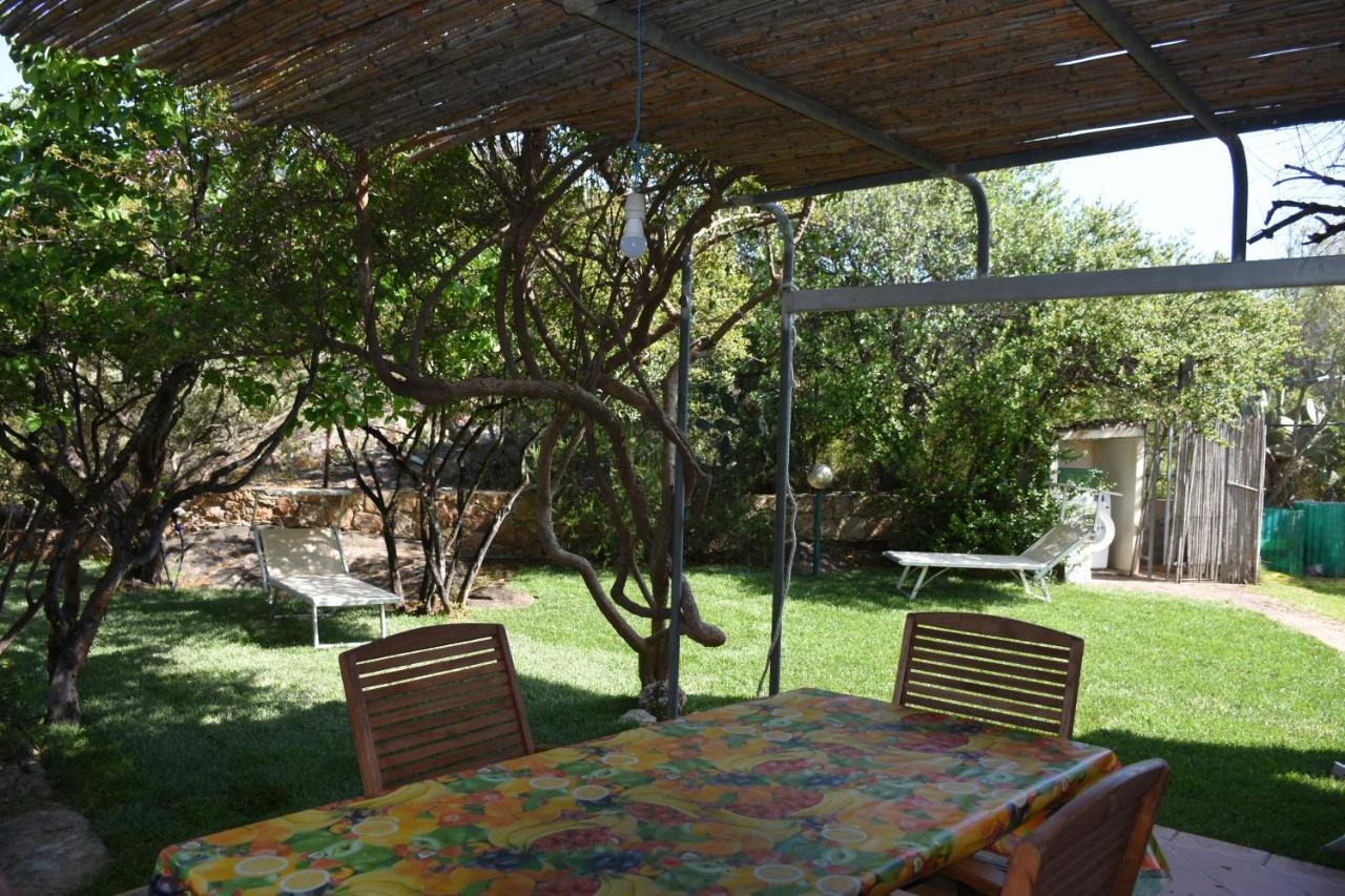 Villa Juniper Santa Maria Navarrese Extérieur photo