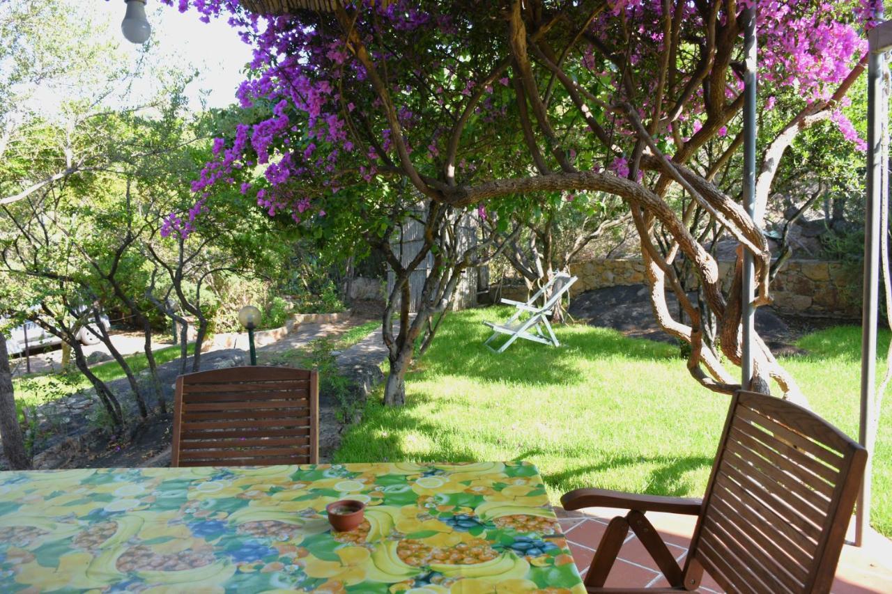 Villa Juniper Santa Maria Navarrese Extérieur photo